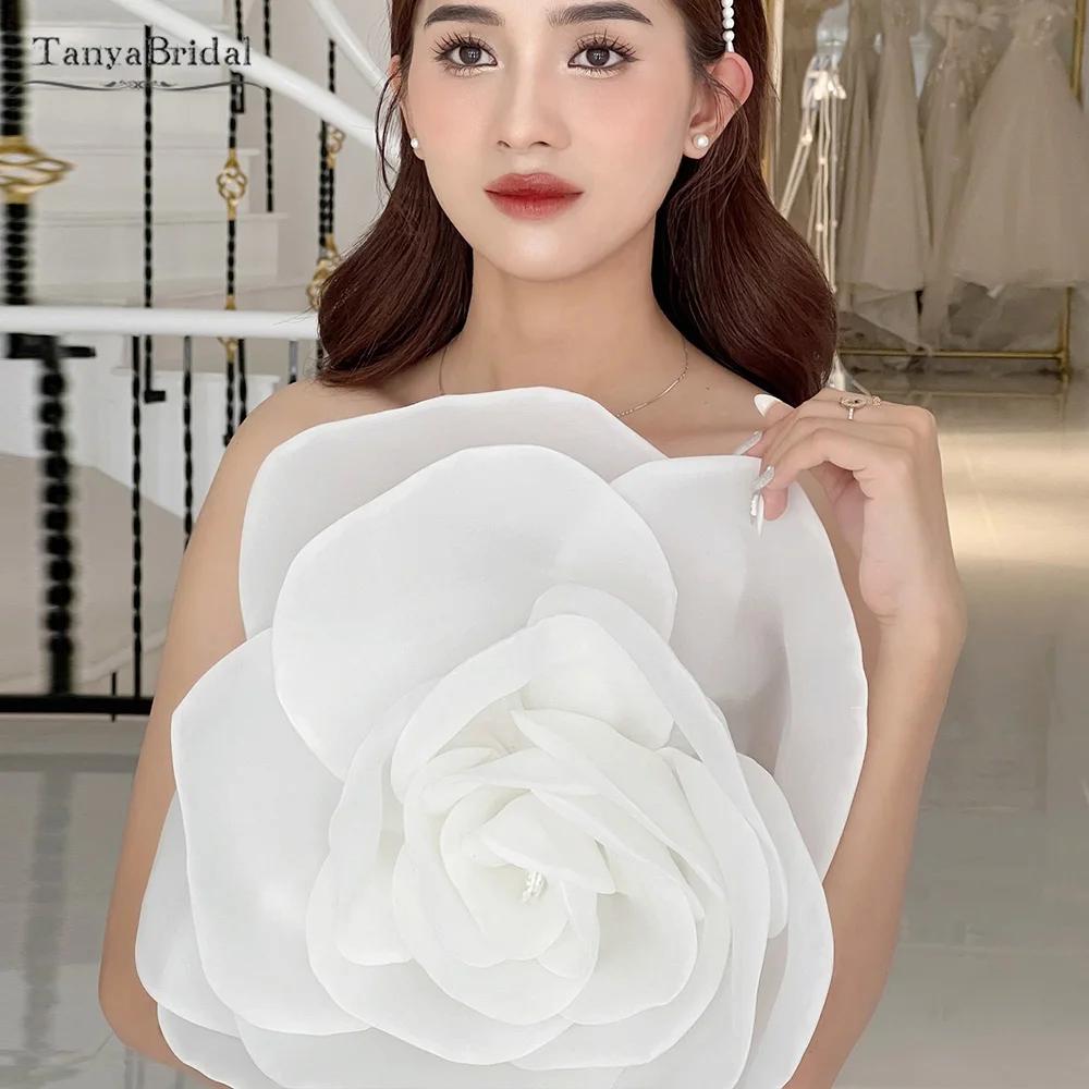 ƾ ̾  и ׼,  м  , ũ 40cm ʺ DG220